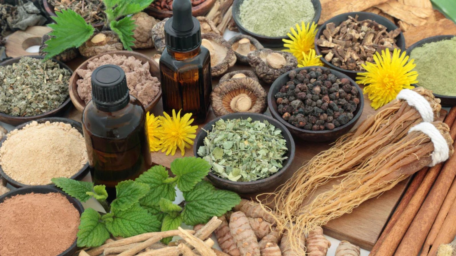 Best Herbs For Boosting Immunity Naturally.