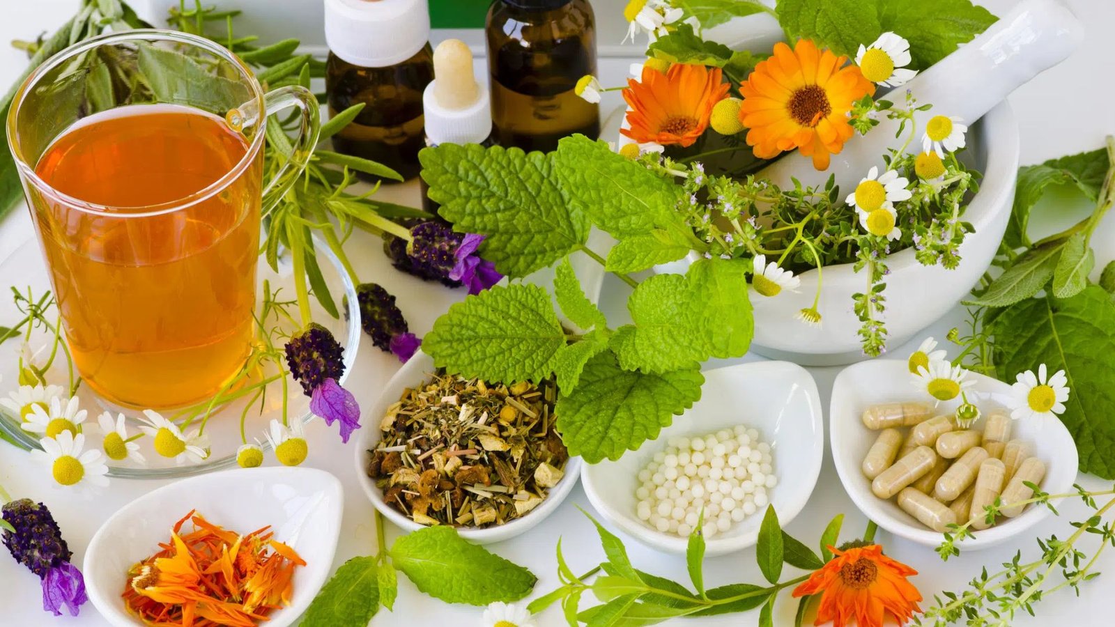 Best Herbs For Boosting Immunity Naturally