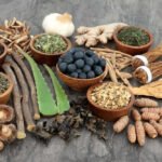 Herbs for Boosting Your Immune System