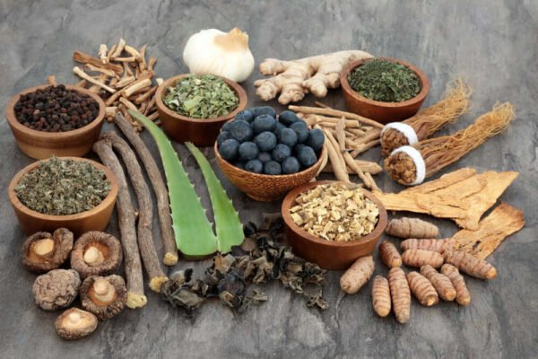 Herbs for Boosting Your Immune System