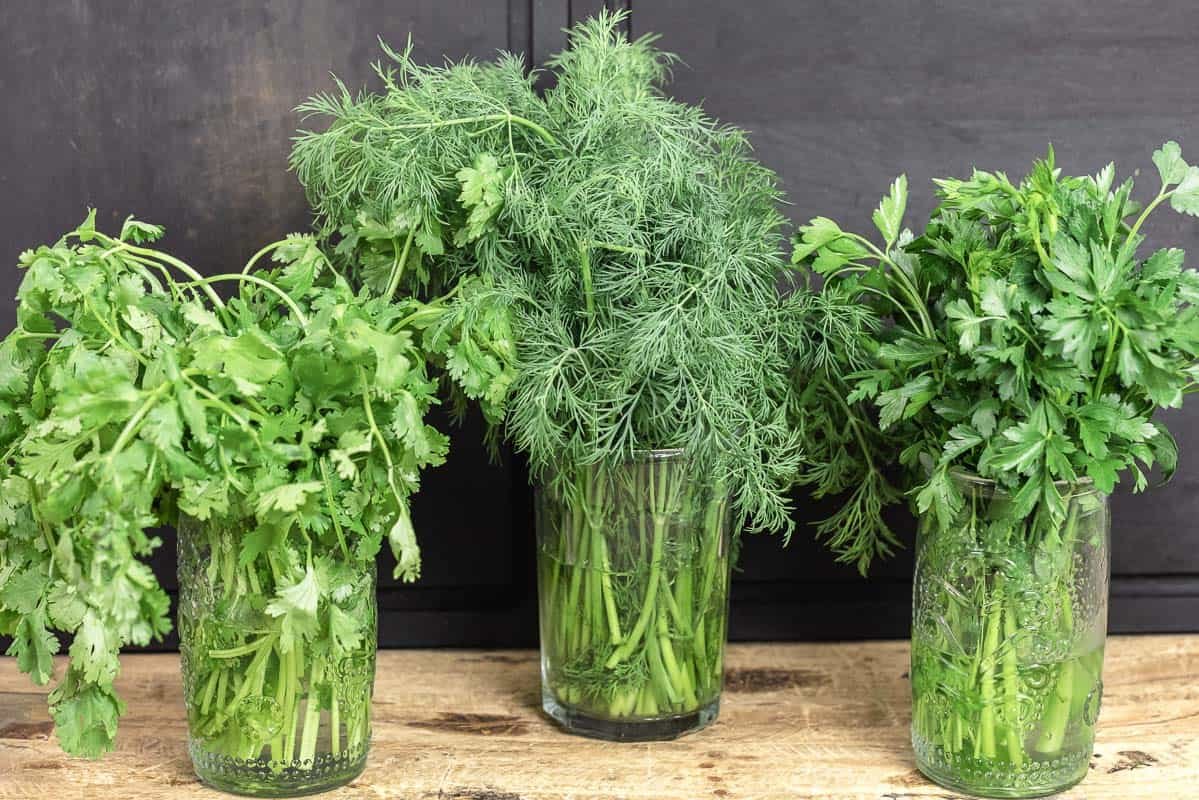 How to Preserve Herbs for Long-Term Use