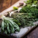 Identifying Culinary Herbs