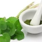 Powerful Herbs To Boost Your Energy Levels