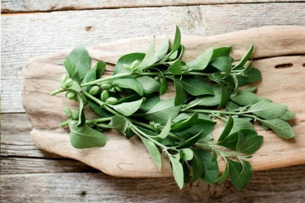 Top Herbs for Boosting Energy Naturally