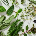 Using Fresh Herbs in Everyday Recipes