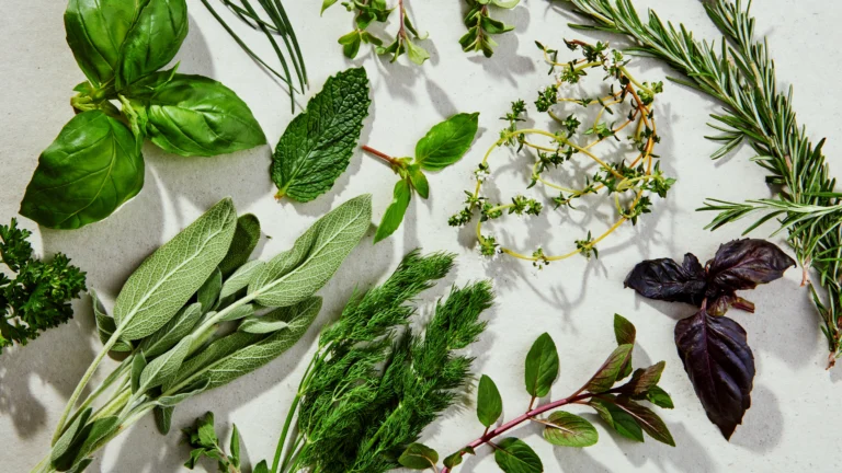 Using Fresh Herbs in Everyday Recipes