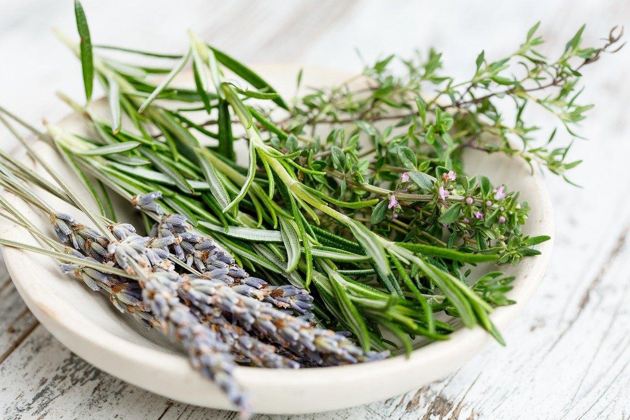 Using Fresh Herbs in Everyday Recipes